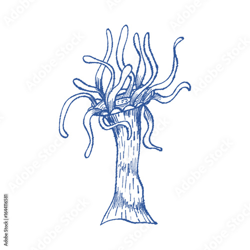 Artistic coral with expressive strokes and hand-drawn texture. Vector sketch for posters, fabric, wrapping paper and ocean-inspired branding