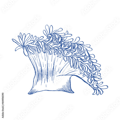 Artistic coral with expressive strokes and hand-drawn texture. Vector sketch for posters, fabric, wrapping paper and ocean-inspired branding