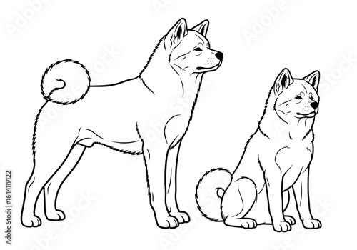 Two Akita Inu dogs, one standing proudly and the other sitting calmly in a sketch style