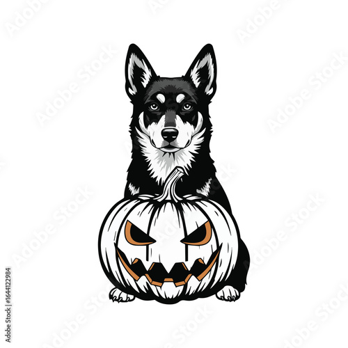 Siberian husky wearing a pumpkin costume for halloween