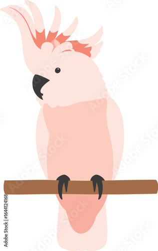 Illustration of a pink cockatoo perched on a wooden branch art