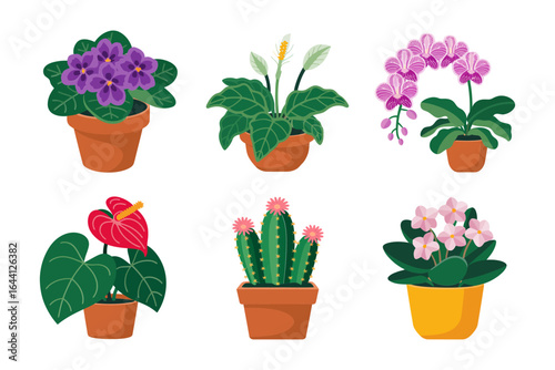 Wooden plant shelf and plant stand icons, multi tier planter rack vector, balcony garden illustration, urban gardening poster, printable decor graphic