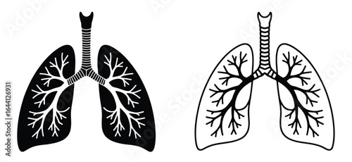 Illustration of human lungs with trachea and bronchi, showcasing the respiratory systems anatomy and function, isolated on white background a medical diagram for health and science education