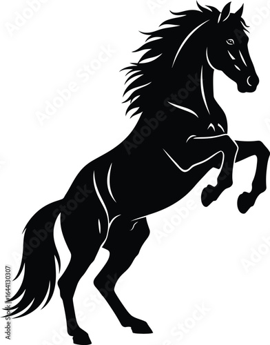 Powerful black horse rearing up in silhouette