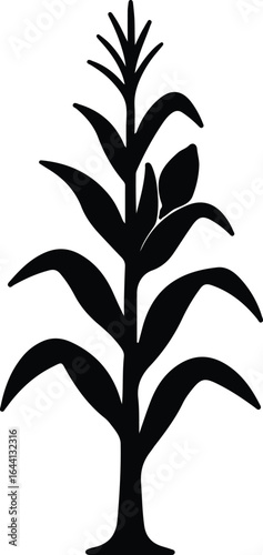 Illustrator corn stalk simple farming agriculture harvest Silhouette vector