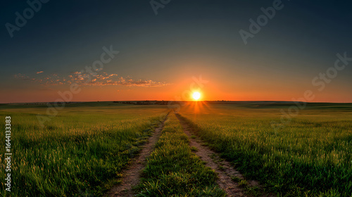 Fototapeta Naklejka Na Ścianę i Meble -  Golden sun setting over vast green field with dirt path sunset golden hour