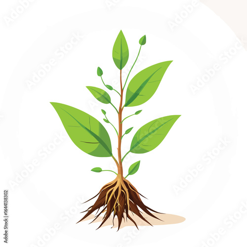 Cartoon Young Plant Illustration Sprout With Green Leaves And Visible Roots For Eco Friendly Designs Botanical Illustrations And Educational Materials