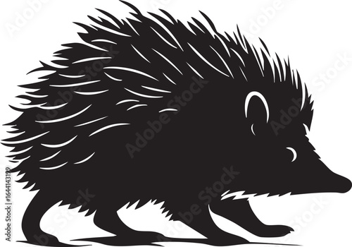 hedgehog on a white background