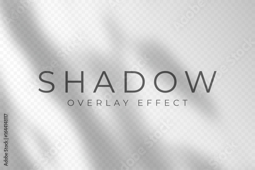 Shadow overlay effect. Transparent soft light and shadows from plant branches, leaves and foliage. Mockup of abstract transparent shadow overlay effect and natural lightning scene. Vector