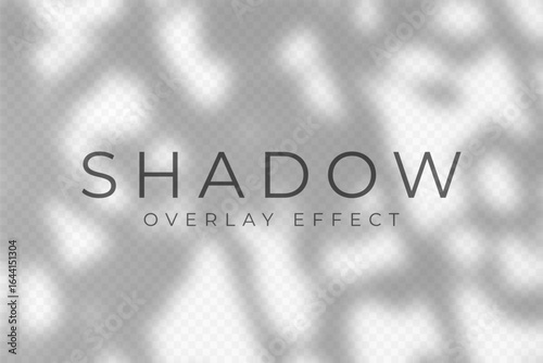 Shadow overlay effect. Transparent soft light and shadows from plant branches, leaves and foliage. Mockup of abstract transparent shadow overlay effect and natural lightning scene. Vector