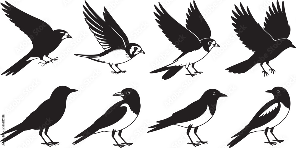 Obraz premium Silhouette Birds Collection Vector Illustration Set Flying Standing Perching Isolated Design