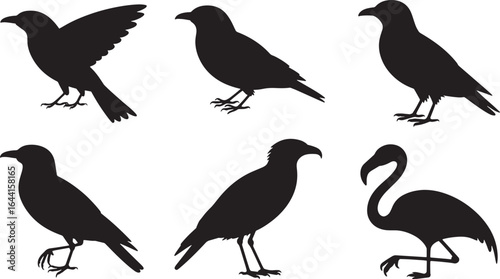 Bird Silhouette Vector Set Featuring Various Species for Ornithology and Wildlife Designs