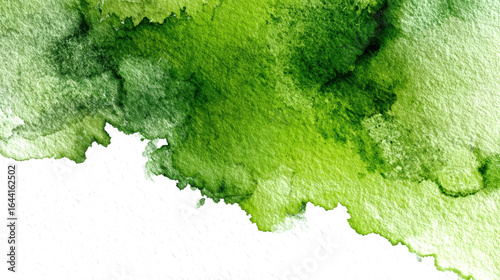 Abstract green watercolor texture on white paper background. Isolated watercolor. Design element for products and printing
