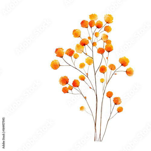 Orange berry cluster on branches