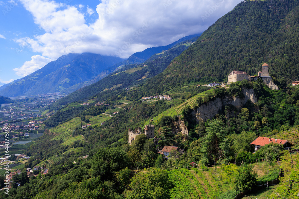 Fototapeta premium Panorama with Tyrol Castle (Schloss Tirol), Schloss Brunnenburg and vineyards in the mountains of Tirol (Dorf Tirol) in South Tyrol, Italy