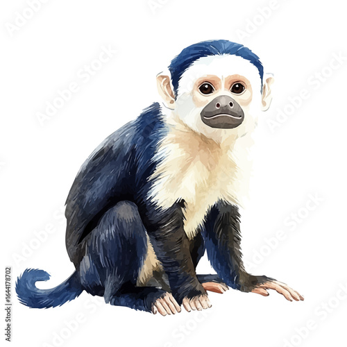watercolor vector of Capuchin Monkey, isolated on a white background.