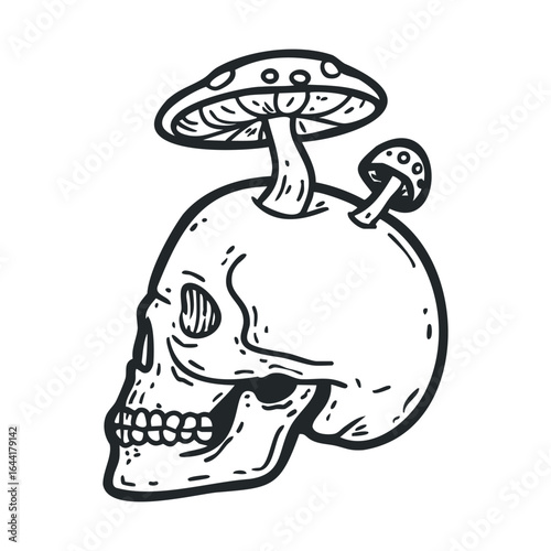 Illustrated skull with mushrooms sprouting from cranium
