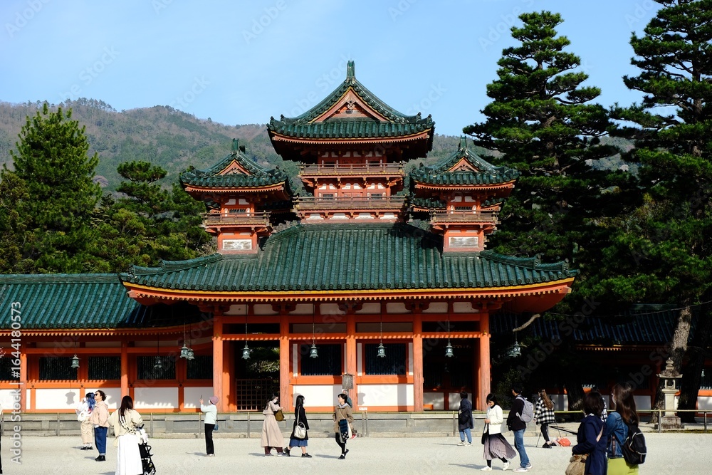 Obraz premium 日本、京都、平安神宮、神苑、桜、花、庭園、春、歷史名勝、綠色、風景、青空、春、写真素材 