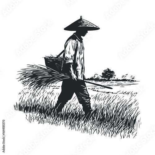 Asian male farmer in traditional hat walking through rice field