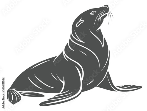Stylized dark gray seal with white highlights sitting and looking upwards on a white background sea lion