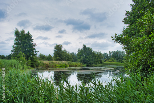 Tranquil lake in a low-lying marsh area. Swamp forest, reed bed and reflection in water. Nature reserve Rottige Meente, province of Friesland, Netherlands
