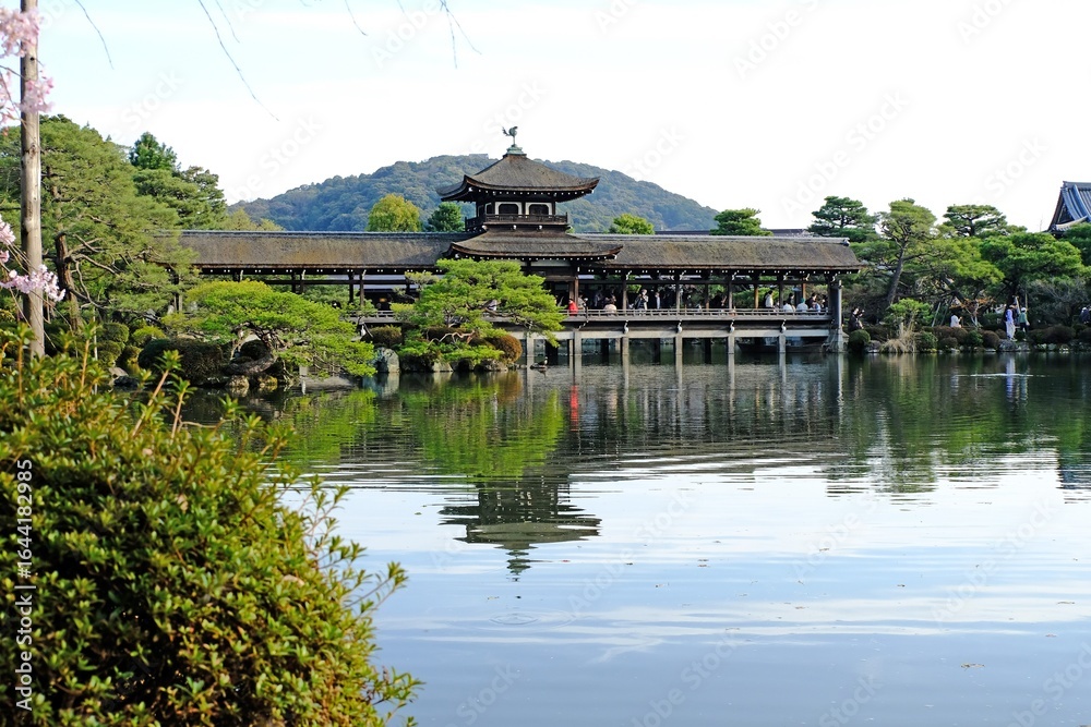 Fototapeta premium 日本、京都、平安神宮、神苑、桜、花、庭園、春、歷史名勝、綠色、風景、青空、春、写真素材 