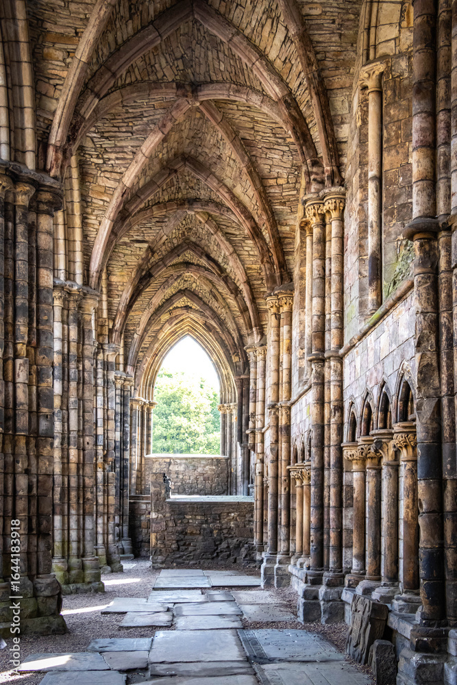 Fototapeta premium interior of holyrood abbey, holyrood palace, edinburgh, gothic, ruins, religion, scotland, uk 