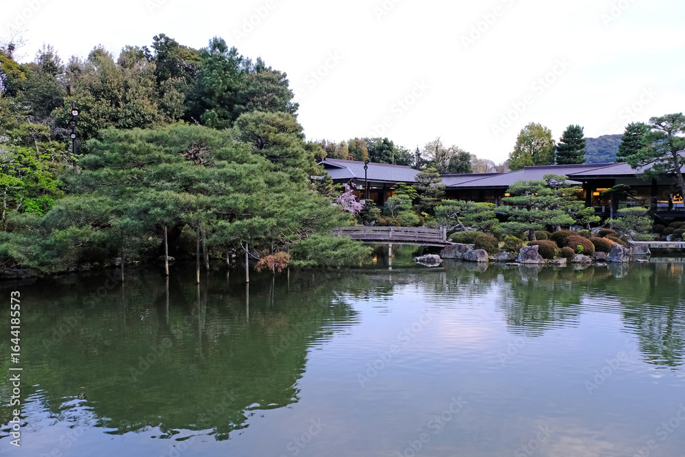 Fototapeta premium 日本、京都、平安神宮、神苑、桜、花、庭園、春、歷史名勝、綠色、風景、青空、春、写真素材 