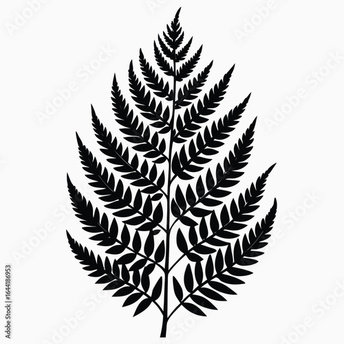Black silhouette of a symmetrical fern frond on a white background leaf plant