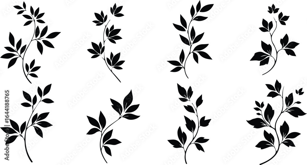 Fototapeta premium set of decorative leaf branches isolated on white background, botanical vector illustration for design, nature and floral elements