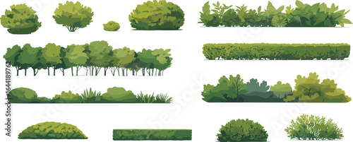 PrinRealistic green bush and hedge vector illustration, garden plant collection, landscape design elements, natural foliage clipart, outdoor decorative shrub graphicst