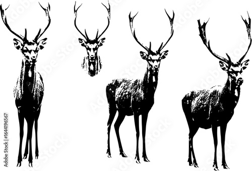 Set of Deers Isolated. Sika Deers, Reindeers, Stags
