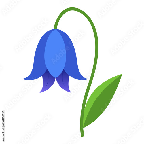 Bluebell Flower Isolated on White Background