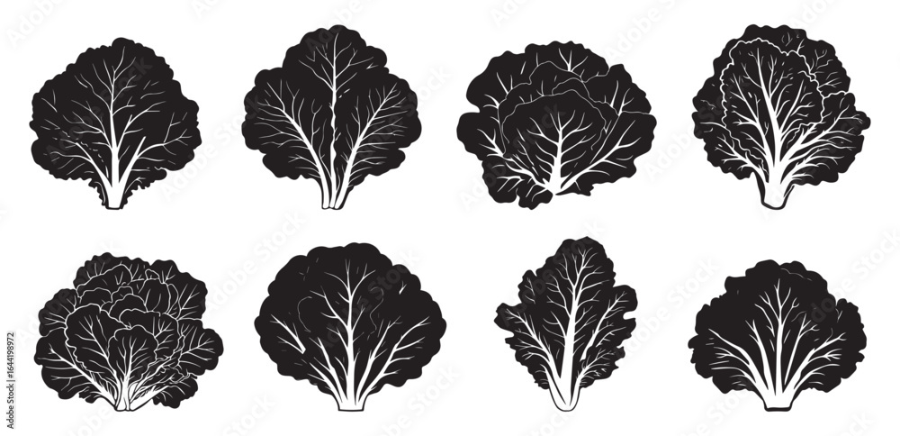 Obraz premium Black Lettuce Icon Collection for Cooking Projects. Salad Ingredient Lettuce Outline and Solid Icons.