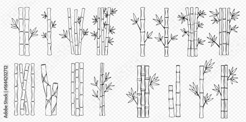 Collection of sketched bamboo stalks and leaves in various arrangements, black and white.