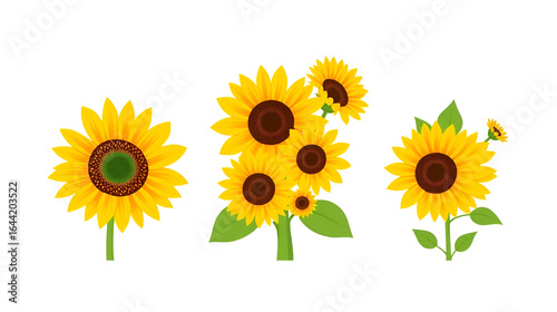 Wallpaper Mural Summer sunflowers set. Single sunflower, bouquet of sunflowers. Vector icons in flat style Torontodigital.ca