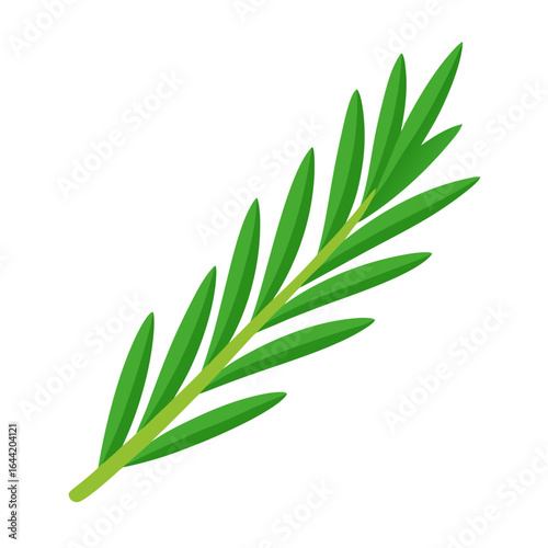 Rosemary Sprig on White Background