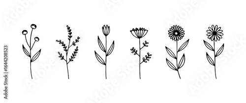 Tall Stem Garden Flowers. A refined row of long-stemmed flowers with slim leaves and rounded or pointed petals.