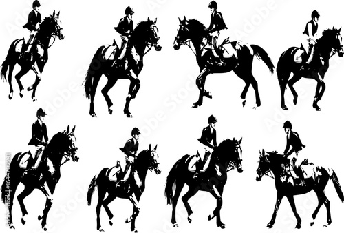 horses and riders

