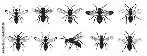 Wasp Silhouette Vector Set. Flying Wasp Shape Collection.