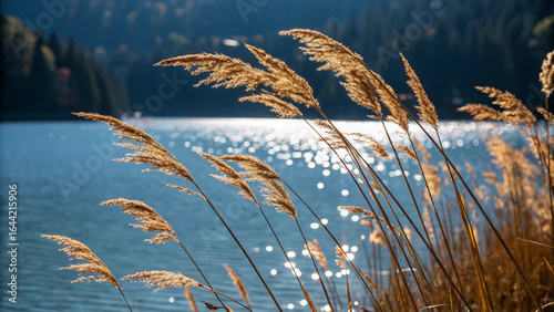 Golden reeds sway gently by a sparkling blue lake in the sunlight