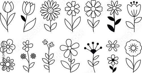 Elegant Black and White Flower Line Art Illustrations