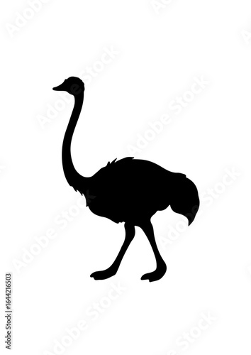 Ostrich Silhouette Illustration