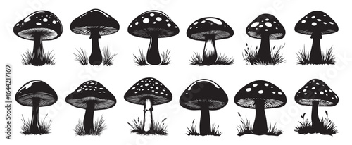 Mushroom Silhouette Vector Collection. Nature Fungi Vector Silhouette Designs.