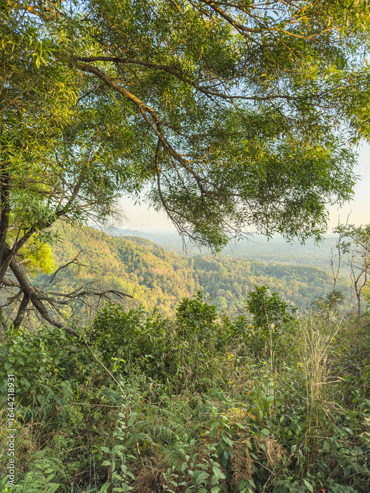 Naklejka premium Scenic view of the landscape from the Raja's Seat (Seat of the King) which is popular tourist attraction in Madikeri of Coorg District.