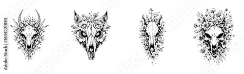 Minimalist Surreal Animal Skeleton Graphic Vector Illustration Set