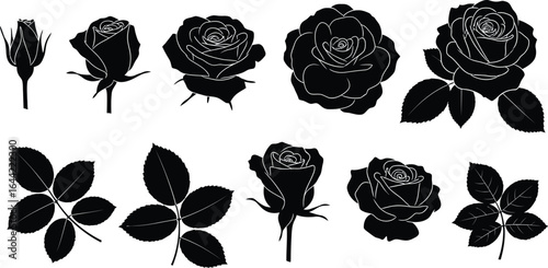 Black rose vector set floral design elements clip art diy