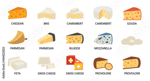 Illustration showing various types of cheese including cheddar brie and camembert and provolone gouda