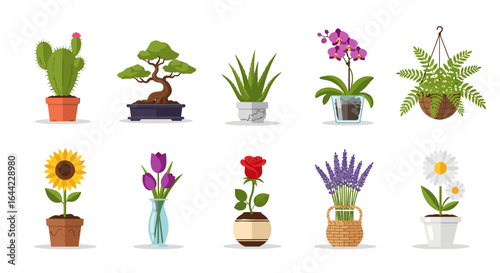 Illustration of ten potted plants including cactus bonsai orchid sunflower rose and lavender flowers
