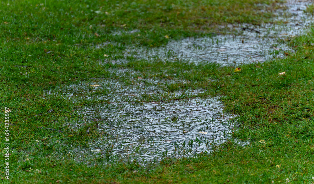 Fototapeta premium A puddle after the rain on the green grass.Rainy weather.Lack of proper drainage